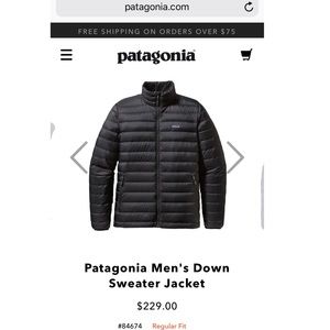 COPY - Patagonia Men’s Down Sweater Jacket (Medium)
